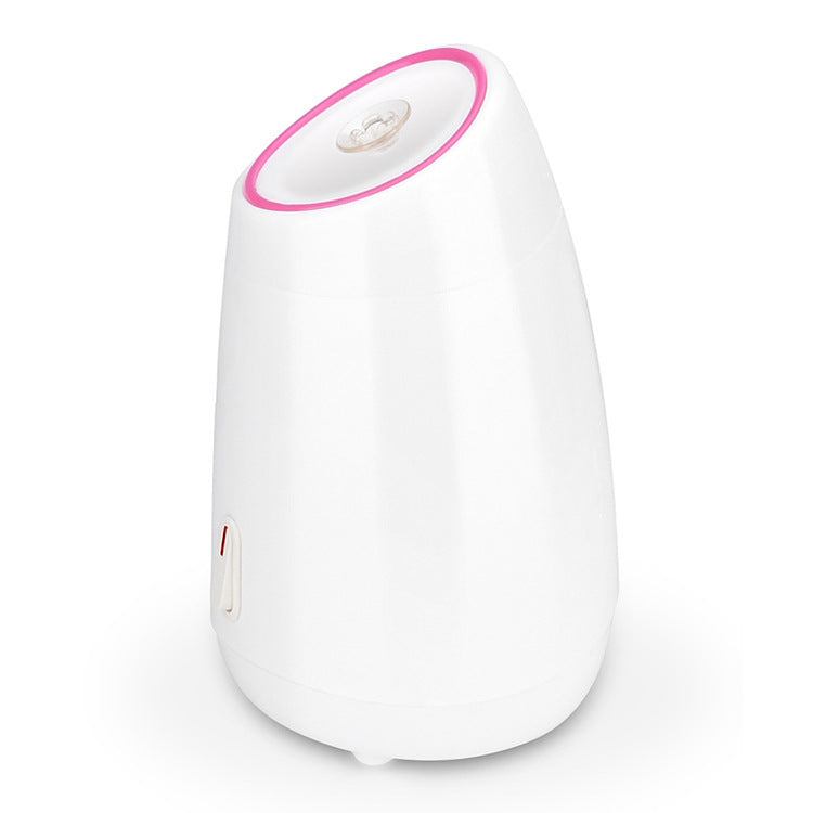 Compact nano facial steamer with moisturizing spray function