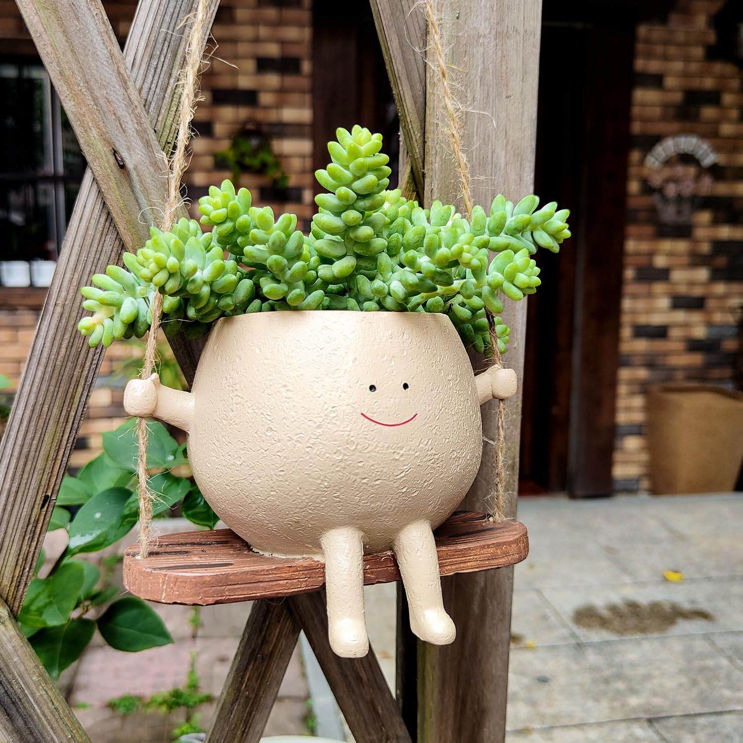 Swing Face Planter Pot | Cute Wall Hanging Succulent Flower Pot
